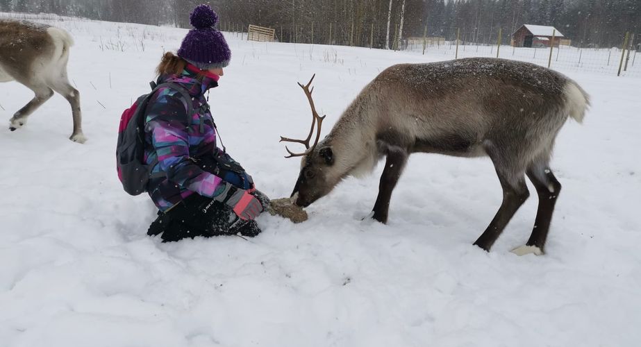 29 38 Lapland 35 29 38 Lapland 35